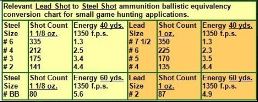 6 Steel Shot Ammo at : #6 Steel Shot Explained