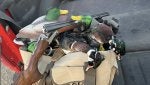 IMG_2956.jpeg